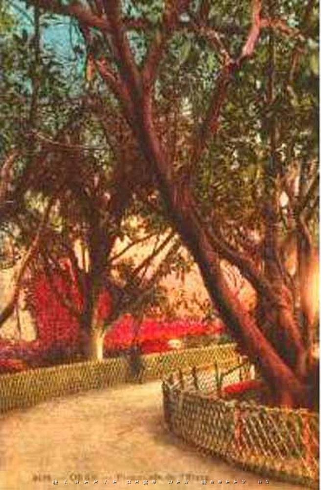 PL b - 014- Promenade de Letang B.jpg